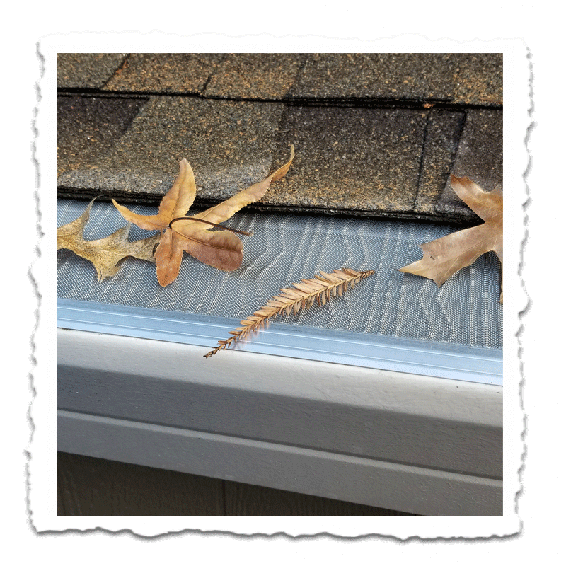 Why Gutters Matter