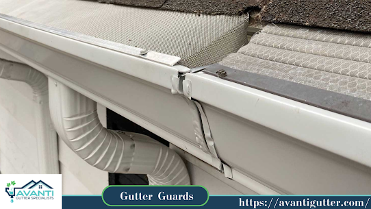 Gutter Guards White