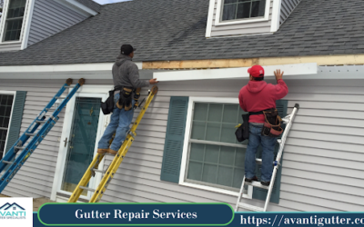 Flowing Elegance: Elevate Your Home with Sarasota County’s Gutter Expert