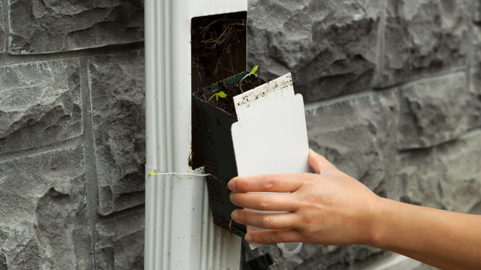 Cleaning Gutter Drain Filter