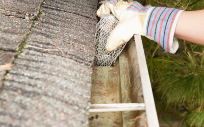 5 Reasons Why Regular Gutter Cleaning Is Essential for Homeowners